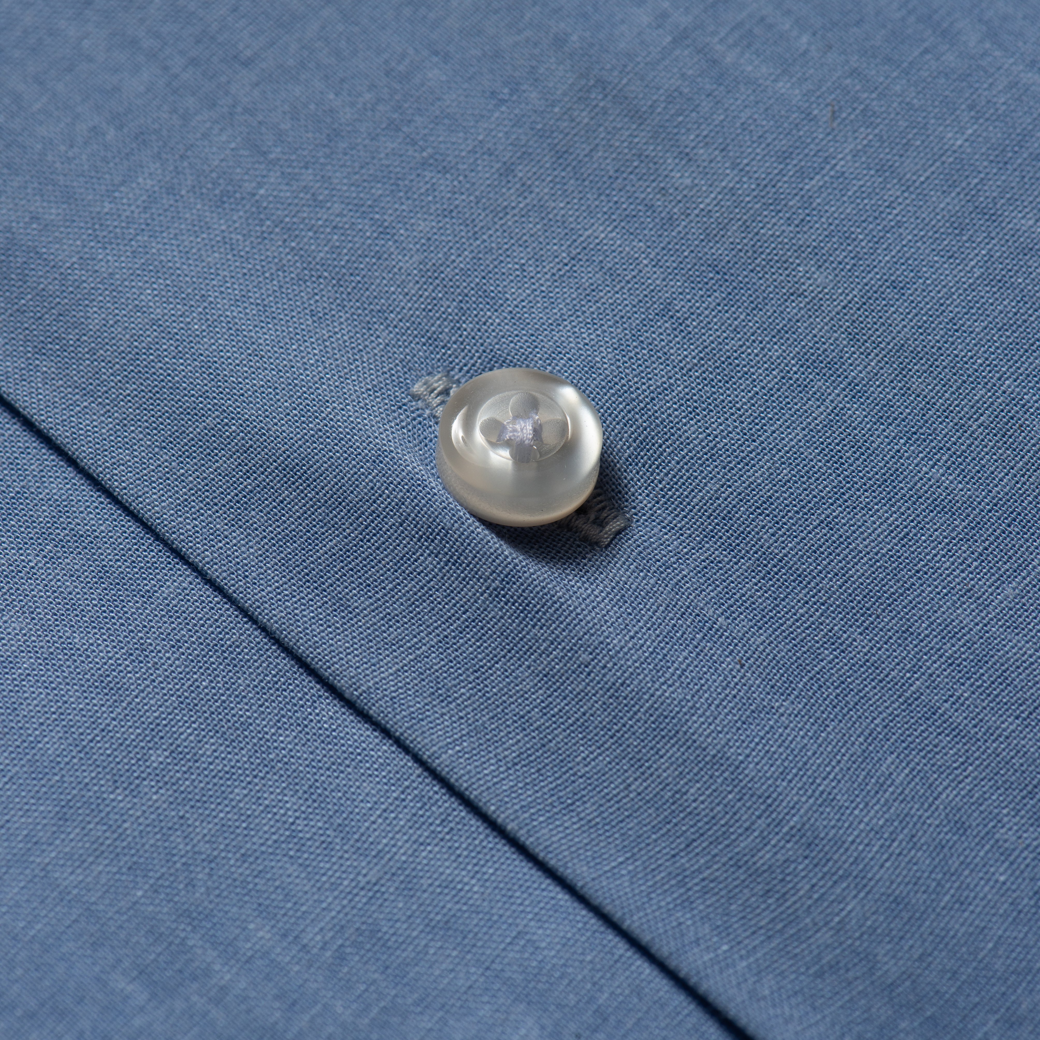 Blue Contrast Trim Shirt